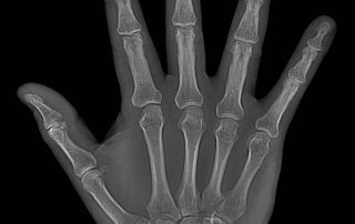Hi Res Hand